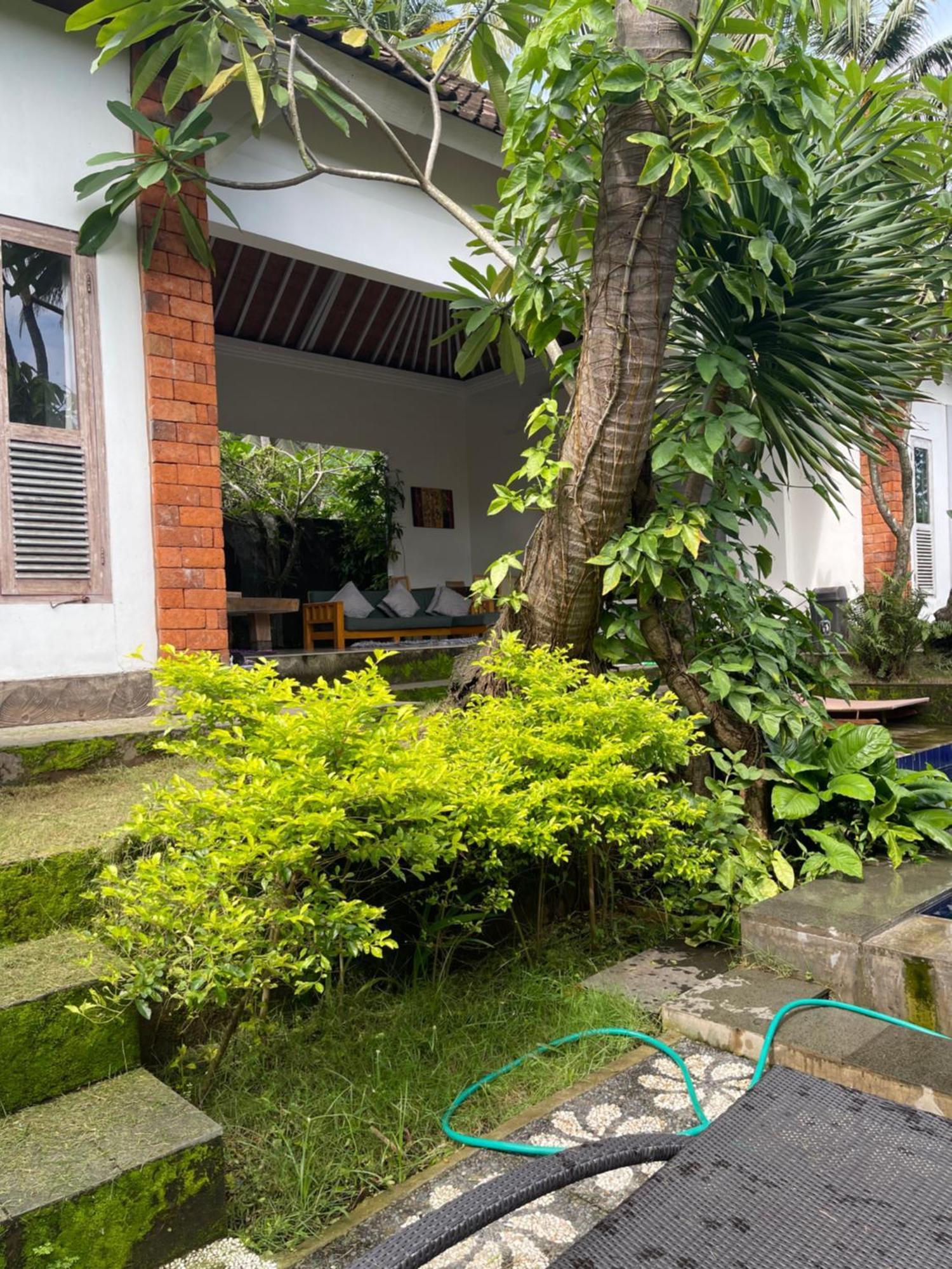 Pranajaya Loka Villa Tejakula Buitenkant foto